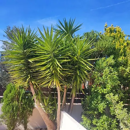 Appartamento Maya - Family