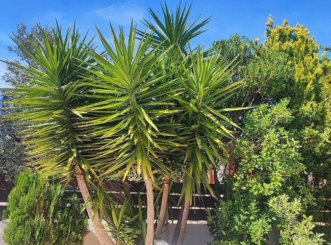 Apartamento Maya - Family